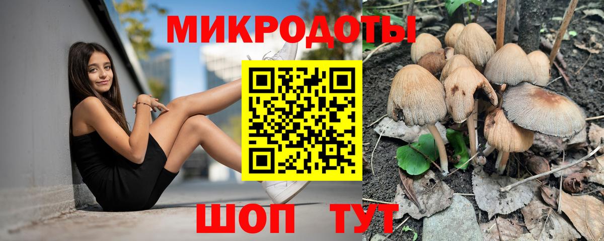 Гусь-Хрустальный  Галлюциногенные грибы Psilocybe  Вход с VPN 
